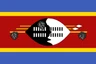 Escudo do Eswatini U20