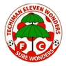 Escudo do Eleven Wonders