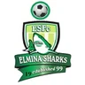 Escudo do Elmina Sharks
