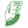 Escudo do Pelikan Łowicz