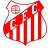 Escudo do Capivariano U20