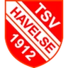 Escudo do Havelse U19