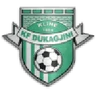 Escudo do Dukagjini