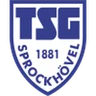Escudo do Sprockhovel