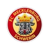 Escudo do Mecklenburg Schwerin