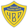 Escudo do Young Boys