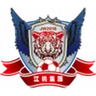 Escudo do Yichun Grand Tiger