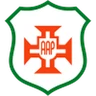 Escudo do Portuguesa Santista U20
