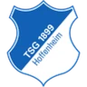 Escudo do 1899 Hoffenheim W