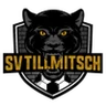 Escudo do Tillmitsch