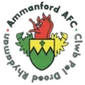 Escudo do Ammanford AFC