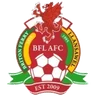 Escudo do Briton Ferry