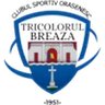 Escudo do Tricolorul Breaza