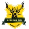 Escudo do Berekum City