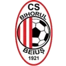 Escudo do Bihorul Beiuş