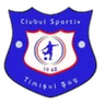 Escudo do Timişul Şag