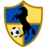 Escudo do Racing United