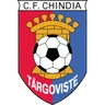 Escudo do Chindia Targoviste