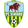 Escudo do Zimbru II