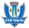 Escudo do CSM Targu Jiu