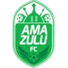 Escudo do Amazulu