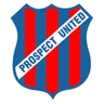 Escudo do Prospect United