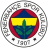 Escudo do Fenerbahce U19