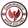 Escudo do Cankirigucu