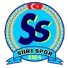 Escudo do Gelecek Siirt