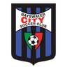 Escudo do Bayswater City