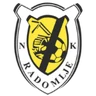 Escudo do Radomlje