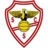 Escudo do Salgueiros