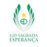 Escudo do Sagrada Esperança