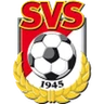 Escudo do Seekirchen