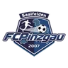Escudo do Pinzgau Saalfelden