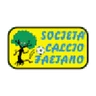 Escudo do Faetano