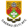 Escudo do Caerau (Ely)