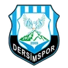 Escudo do Dersimspor