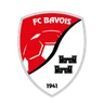Escudo do Bavois