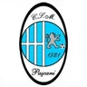 Escudo do Paşcani