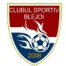 Escudo do Blejoi