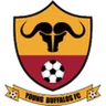 Escudo do Young Buffaloes