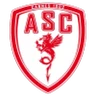 Escudo do Cannes